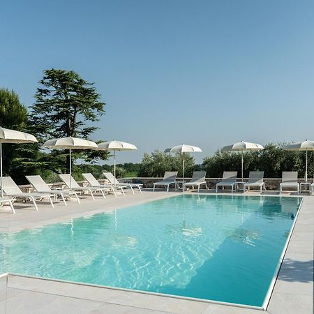 Verdeolivo 1876 - Apartments & Pool Mezzane di Sotto Eksteriør bilde