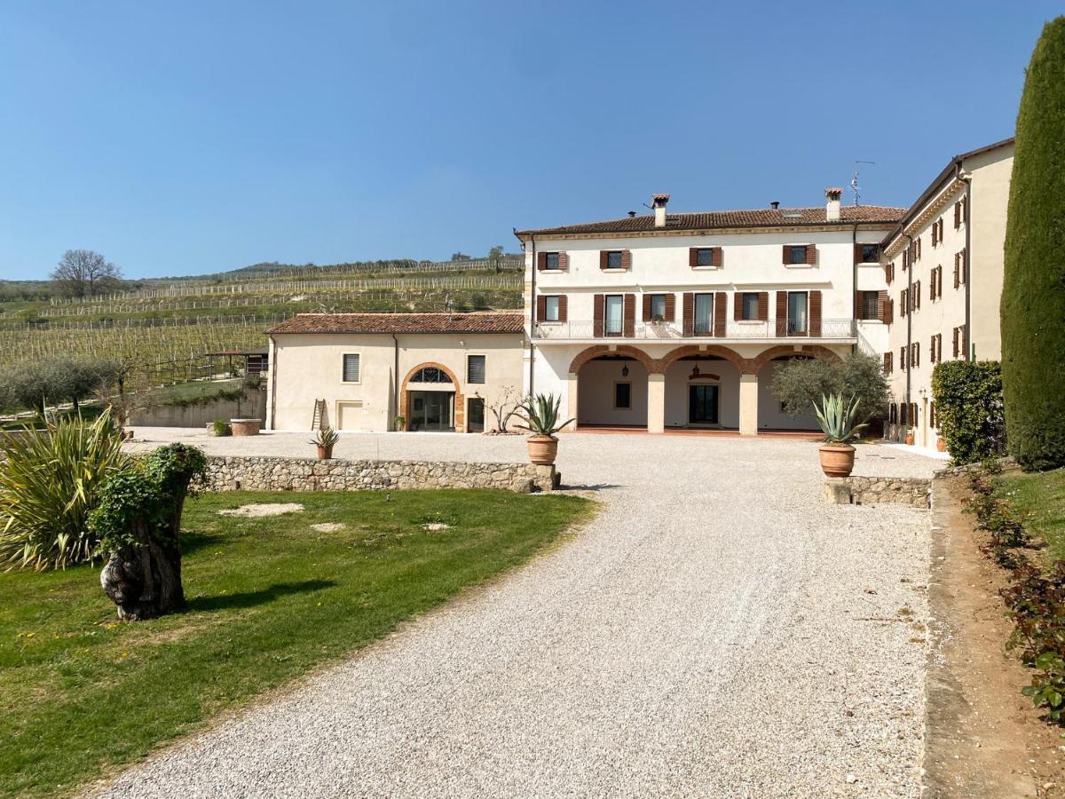 Verdeolivo 1876 - Apartments & Pool Mezzane di Sotto Eksteriør bilde