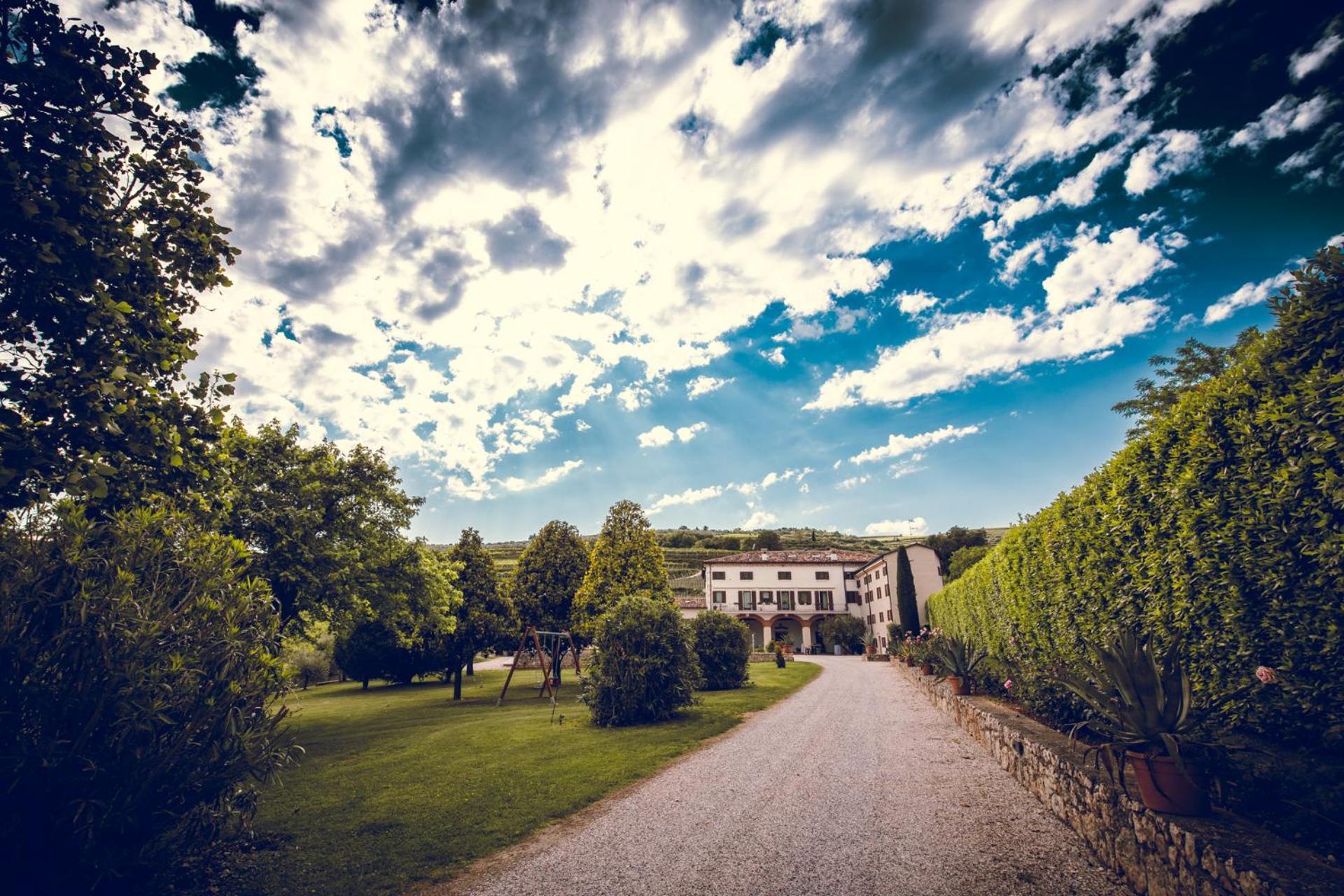 Verdeolivo 1876 - Apartments & Pool Mezzane di Sotto Eksteriør bilde
