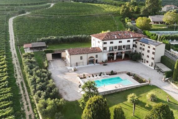 Verdeolivo 1876 - Apartments & Pool Mezzane di Sotto Eksteriør bilde